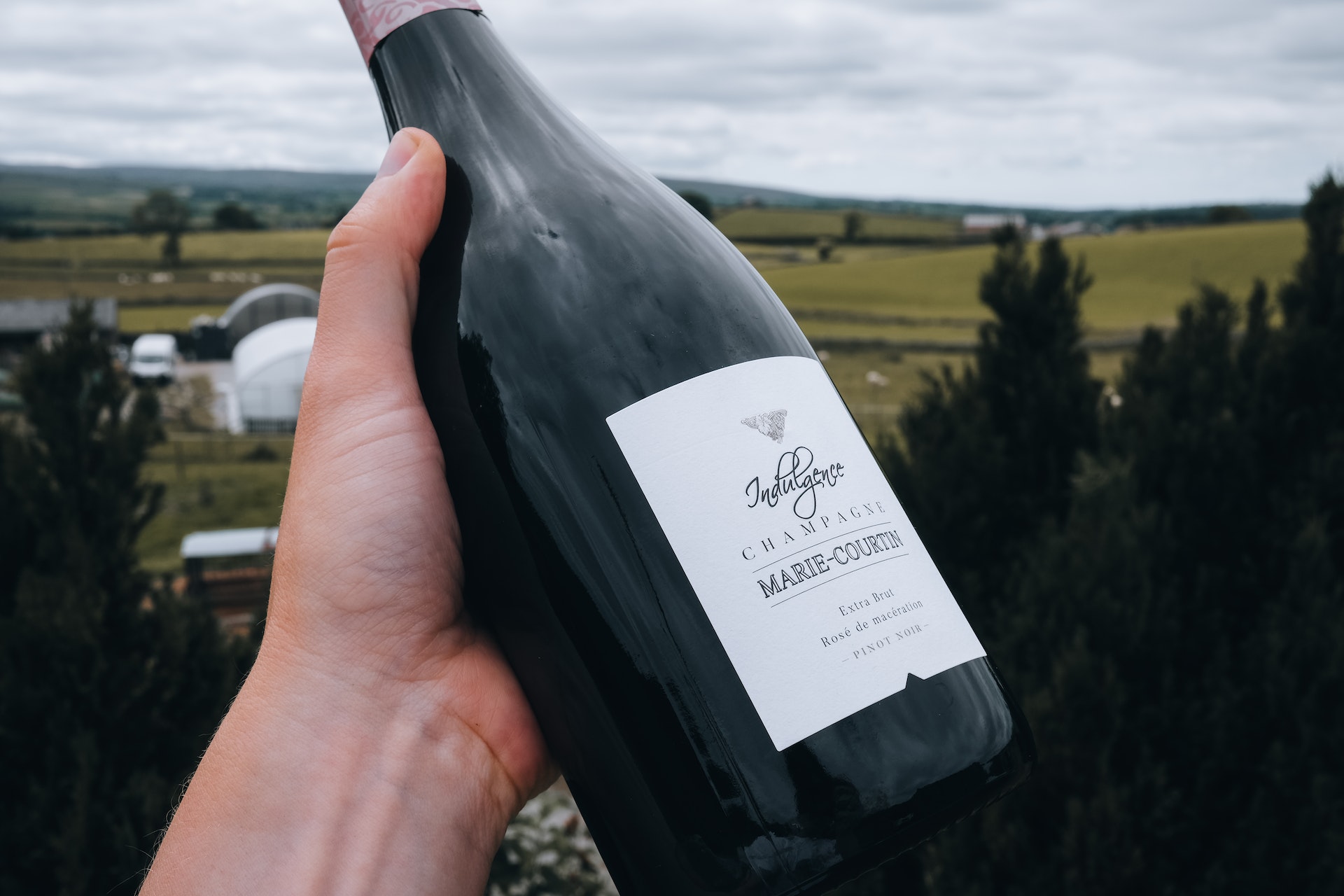 Someone holding up a Champagne bottle against a nice view.