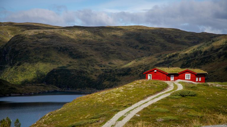 pexels-franco-sulli-160659724-34666874-scaled